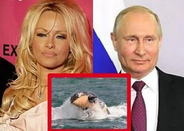 Памела Андерсон со писмо до Путин: „Ослободете ги китовите“