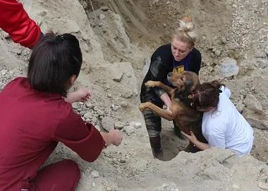 Маалскиот Жучко е спасен од голема бездна во Кисела Вода