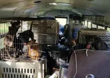Тони купил автобус за да може да спаси животни од ураган
