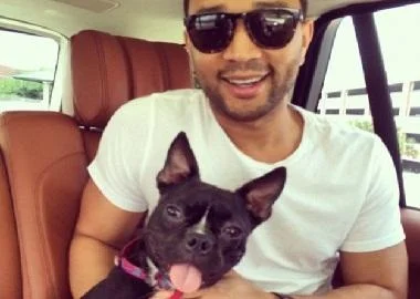 Познатиот John Legend посвоил куче без нозе
