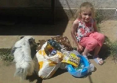Софи – хероина за напуштените кучиња во Охрид