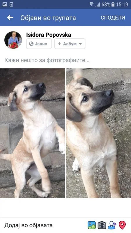 Se podaruvaat kucenca