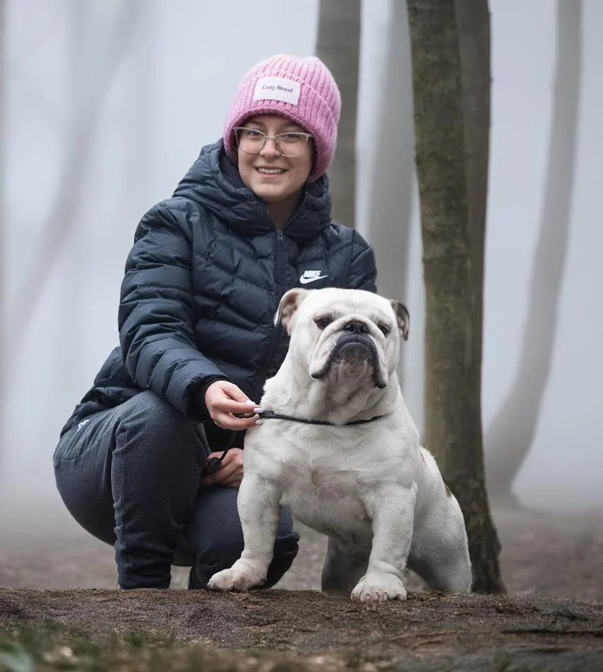 Engleski buldog