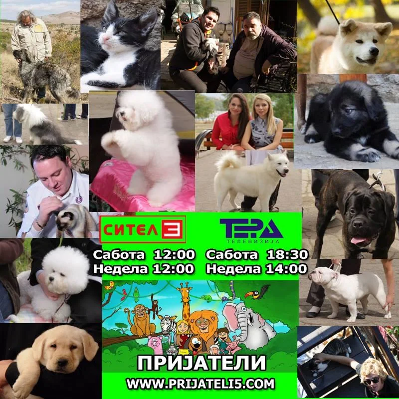 Пријатели - Емисија за миленици