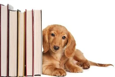 Книги за сопствениците на кучиња