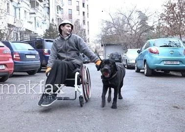 Кучето Бен е најдобриот пријател на момче со церебрална парализа