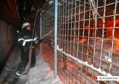 11 животни од циркус настрадале во пожар