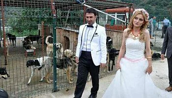 Невестата и младоженецот својот посебен ден го поминале со напуштените животни
