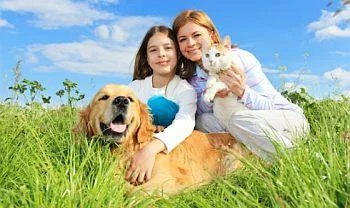 Истражување за љубителите на мачки и кучиња