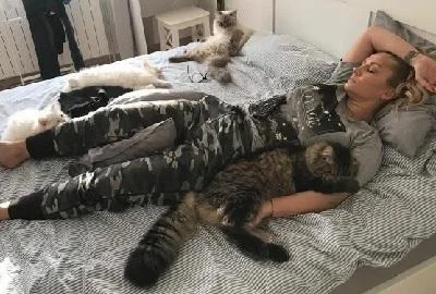 Гоца Тржан ги обожава мачките, а фотографиите се доказ за тоа