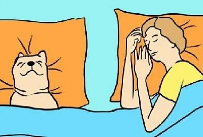 Спиењето со куче е добро. Еве поради што