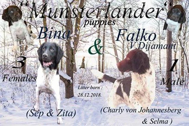Mali minsterlender