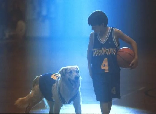 Предлог филм: Air Bud