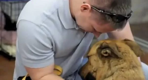 Видео: Среќавање на сопственик со своето изгубено куче