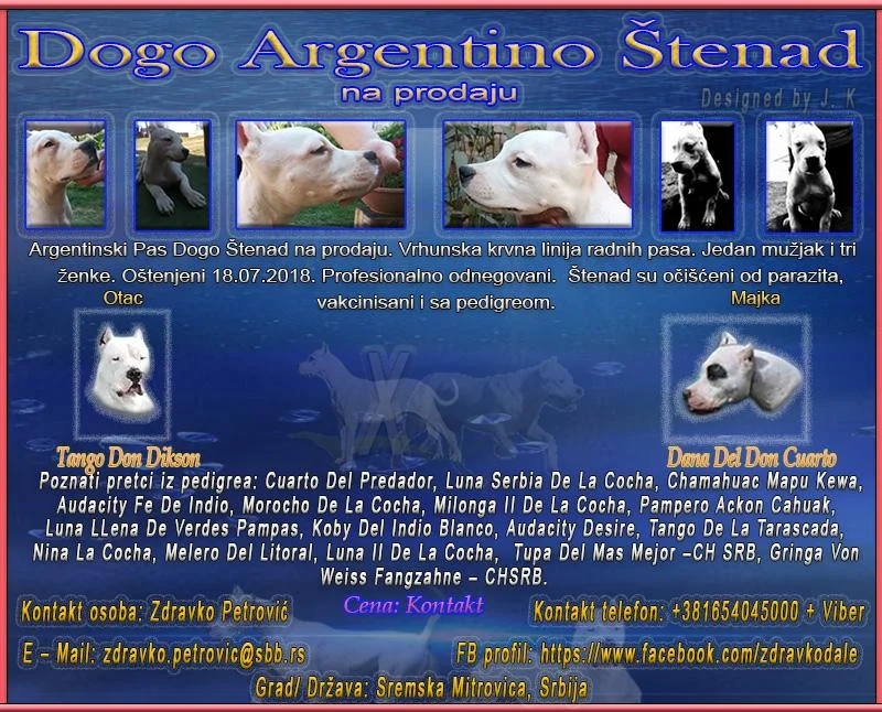 Dogo Argentino štenad na prodaju