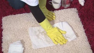 Како во домашни услови да исчистите урина од мачка