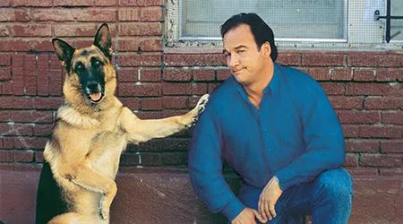 Предлог филм: K-911