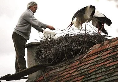 Љубов која трае 16 години: Клепетан стигнал во прегратките на својата Малена