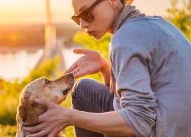 Пристигнува првиот светски преведувач за миленици