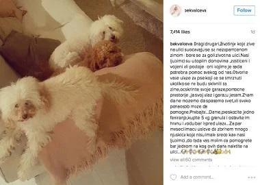Наташа Беквалац повторно во акција на спасување на животни
