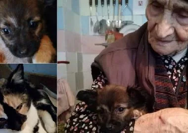Баба Савка има 97 години и огромно срце за напуштените животни