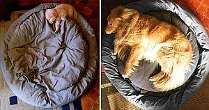 Фотографии: пред и потоа