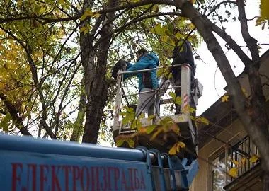 Химана акција во Општина Карпош - спасена мачката Аја