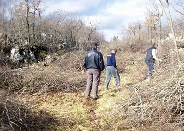 Поранешни учесници во војна подготвуваат изградба на азил за животни