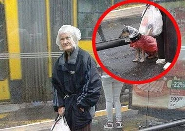 Баба вешто го заштитила својот миленик од дожд