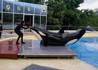 Потпишете ја петицијата за Морган која е заробена во Лоро паркот
