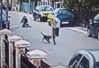 Подгорица моли: Медо за градоначалник