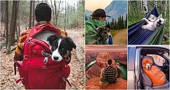 Совршено кампување низ фотографии
