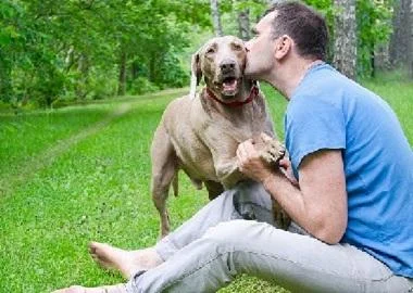 Луѓето кои имаат куче имаат и поздраво срце