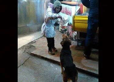 Девојче проси на улица и го дели оброкот со куче