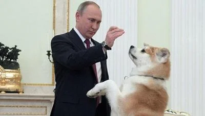 Путин се појавил на прес конференција со куче