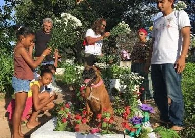 Емотивна реакција на куче кое се збогува со својата сопственичка Марија
