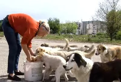 Ајета Реџеповиќ – доктор Офболи за бездомните кучиња во Македонија
