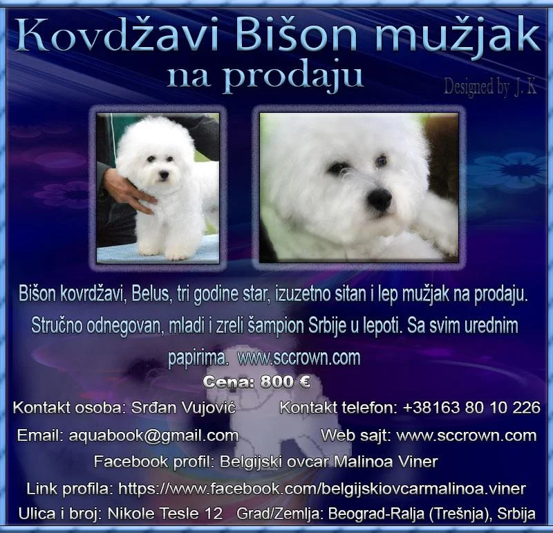 Kontakt telefon: +38163 80 10 226 Email: aquabook@gmail.com