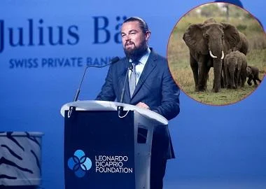 Леонардо ДиКаприо донира милион долари за заштита на слоновите