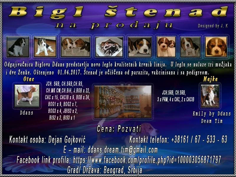Bigl štenad na prodaju