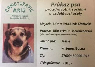 Куче на кое му се заканувала евтаназија - помага на деца со посебни потреби