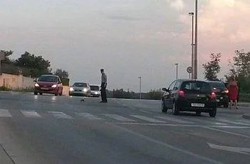 Полицаецот го запрел сообраќајот за да помине еден еж