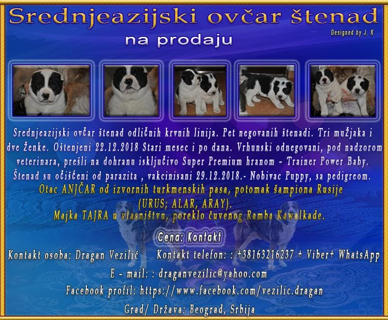 Srednjeazijski ovčar štenad