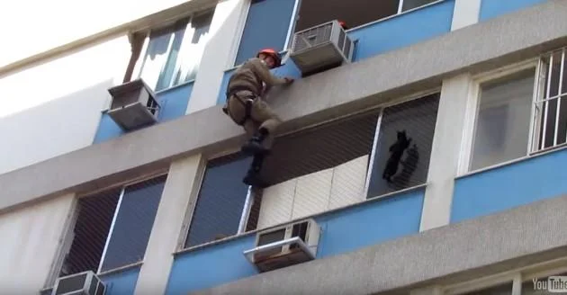 Видео: Спасување на маче на висококатница