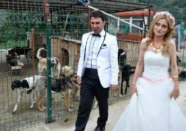 Брачен пар својот посебен ден го поминале со напуштени кучиња