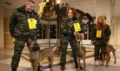 Русија ги доби првите клонирани полициски кучиња