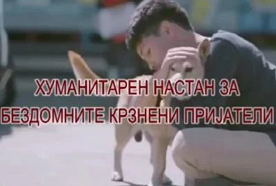 Хуманитарен настан за бездомните пријатели
