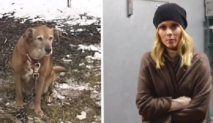 Лаура Вандервурт во кампања “Куче на ланец” на минусни температури