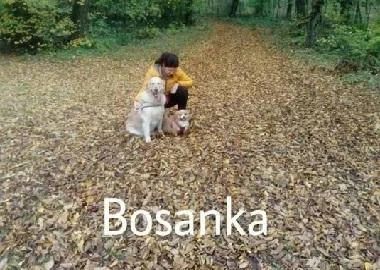 Поддршка од целиот свет: Петиција за затворање на азилот во Прачи