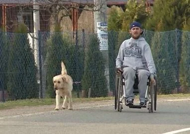 Неподвижно момче смислата во животот ја пронашло кај кучиња